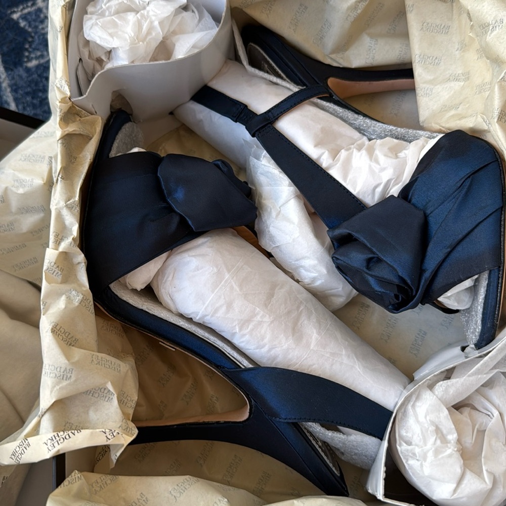 9M stiletto heels badgley mischka